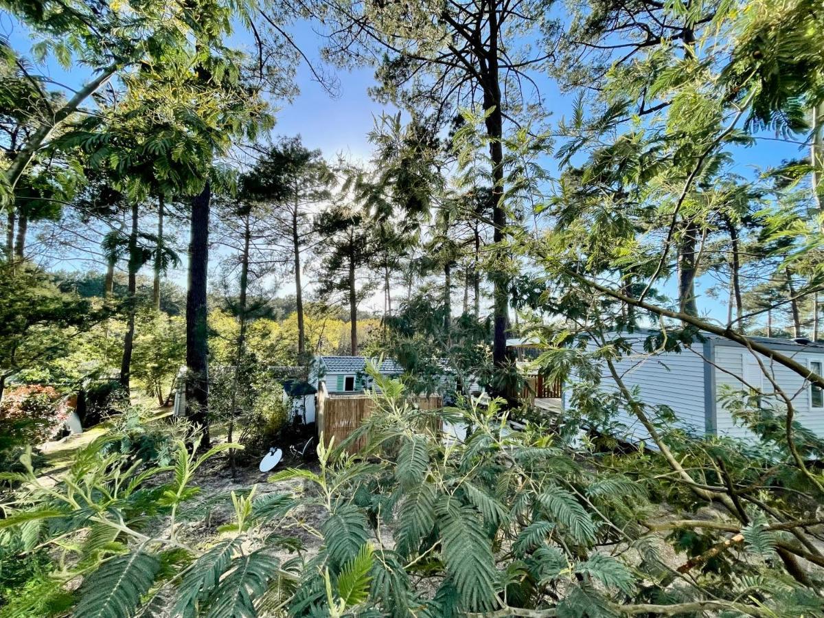 Tiny House Famille Nature Cap Ferret Claouey Εξωτερικό φωτογραφία