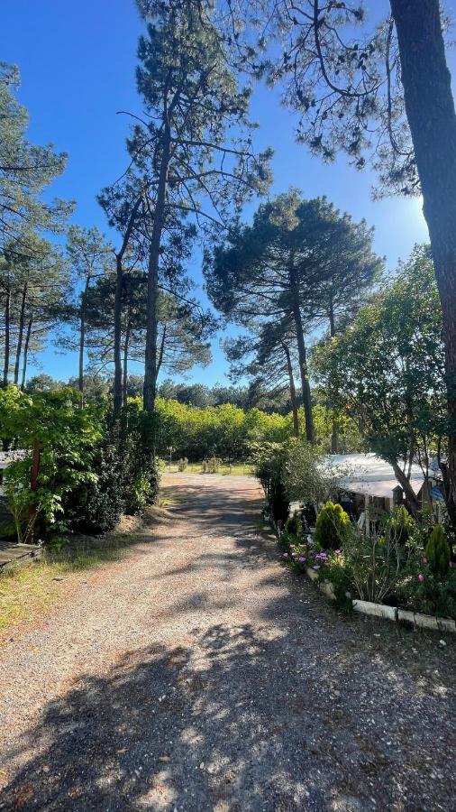 Tiny House Famille Nature Cap Ferret Claouey Εξωτερικό φωτογραφία